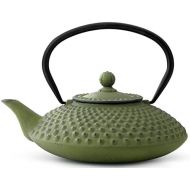 [아마존베스트]Bredemeijer 1.25 L Cast Iron Teapot Jing, Green