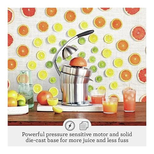 브레빌 Breville Citrus Press Pro 800CPXL, Brushed Stainless Steel