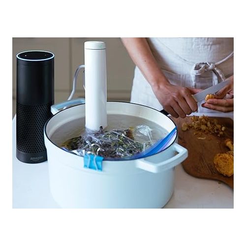 브레빌 Breville Joule Sous Vide, White Polycarbonate, CS20001