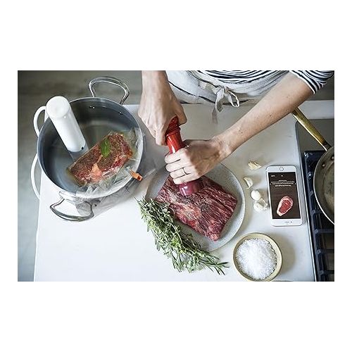 브레빌 Breville Joule Sous Vide, White Polycarbonate, CS20001