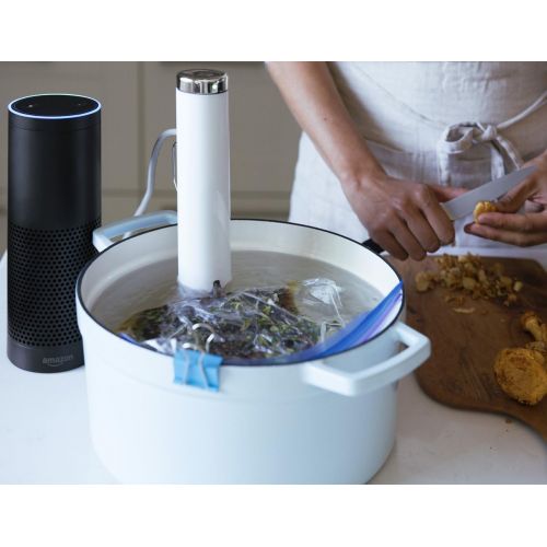 브레빌 Breville Joule Sous Vide, 1100 Watts, White Body, Stainless Steel Cap & Base