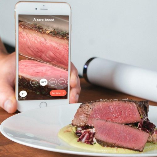 브레빌 [아마존베스트]Breville CS10001 Joule Sous Vide, Stainless Steel