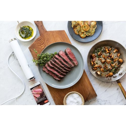 브레빌 [아마존베스트]Breville CS10001 Joule Sous Vide, Stainless Steel