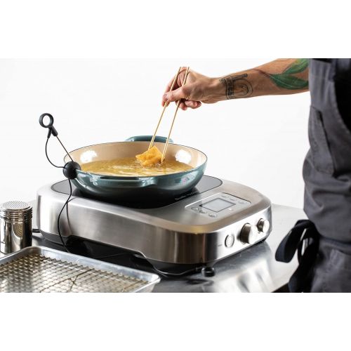  PolyScience Culinary Breville|PolyScience the Control Freak Temperature Controlled Commercial Induction Cooking System