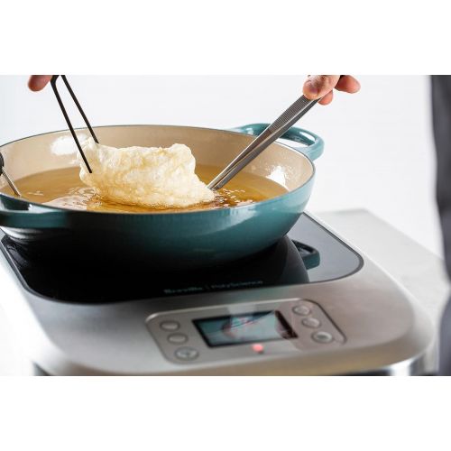  PolyScience+Culinary Breville|PolyScience the Control Freak Temperature Controlled Commercial Induction Cooking System: Kitchen & Dining