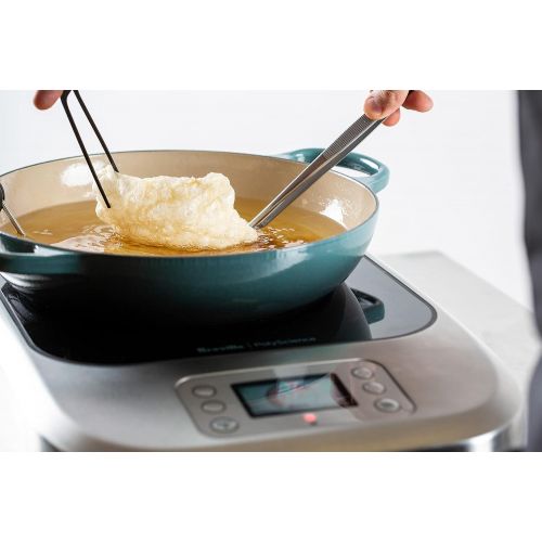  [아마존베스트]PolyScience Culinary Breville|PolyScience the Control Freak Temperature Controlled Commercial Induction Cooking System