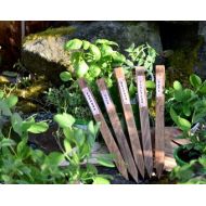 BrewForge Vegetable Garden Stake with Copper Tag (Each)