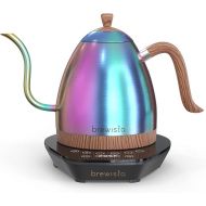 Brewista Artisan Electric Gooseneck Kettle, 1 Liter, For Pour Over Coffee, Brewing Tea, LCD Panel, Precise Digital Temperature Selection, Flash Boil and Keep Warm Settings (Unicorn Iridescent)