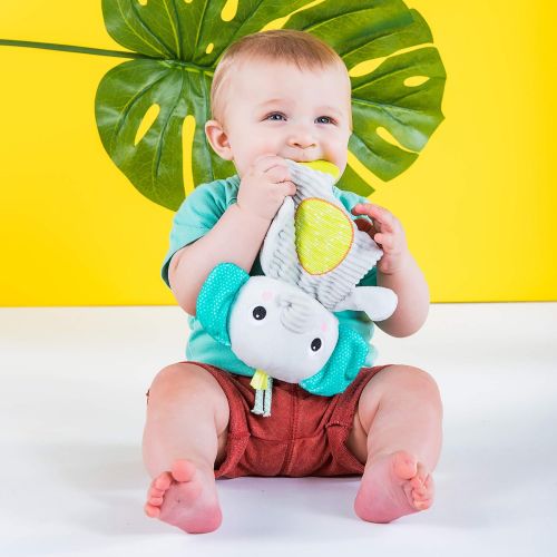 브라이트스타트 [아마존베스트]Bright Starts Snuggle & Teethe Toy (One toy, style may vary)