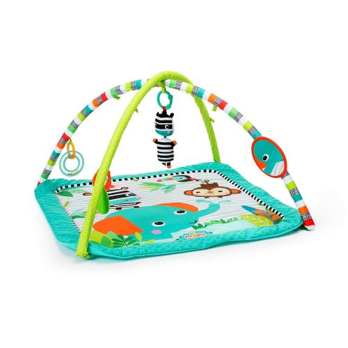 브라이트스타트 Visit the Bright Starts Store Bright Starts Zig Zag Safari, Activity Gym