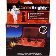 Brightz, Ltd. A5380 CoolerBrightz LED Lights, Orange