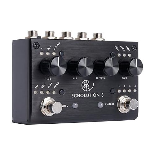  Pigtronix Echolution 3 Stereo Multi-Tap Delay Guitar Pedal - Bundle with Instrument Cable, 2 Patch Cables, and Clip-On Tuner