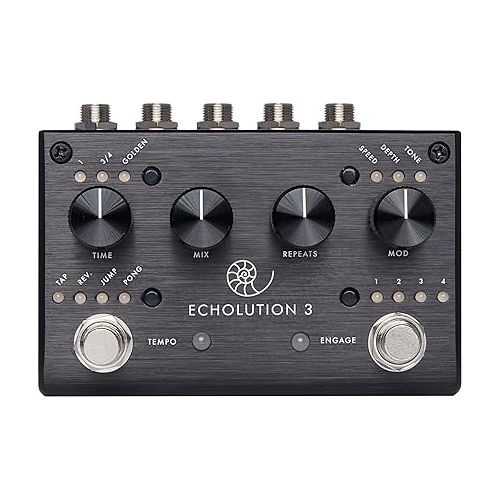  Pigtronix Echolution 3 Stereo Multi-Tap Delay Guitar Pedal - Bundle with Instrument Cable, 2 Patch Cables, and Clip-On Tuner