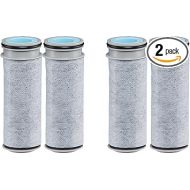 Stream Water Filter, Stream Pitcher Replacement Water Filter, BPA Free - 2 Count (2 X Pack of 2) Y