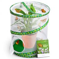 [아마존베스트]Briteree Butterfly Habitat Cage for Kids, Include Quick Start Guide Manual , Pop Up 12 X 14 Inches, Unrestricted Clear Vision