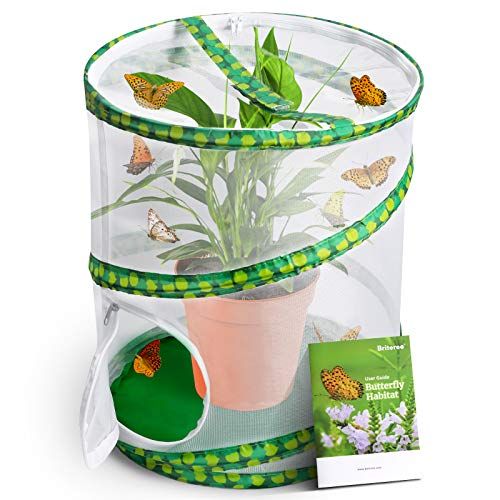  [아마존베스트]Briteree Butterfly Habitat Cage for Kids, Include Quick Start Guide Manual , Pop Up 12 X 14 Inches, Unrestricted Clear Vision