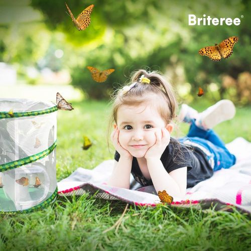  [아마존베스트]Briteree Butterfly Habitat Cage for Kids, Include Quick Start Guide Manual , Pop Up 12 X 14 Inches, Unrestricted Clear Vision