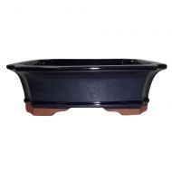 Brussels Bonsai Brussels 12 Rectangle Bonsai Glazed Ceramic Pot (X-Large, Dark Navy)