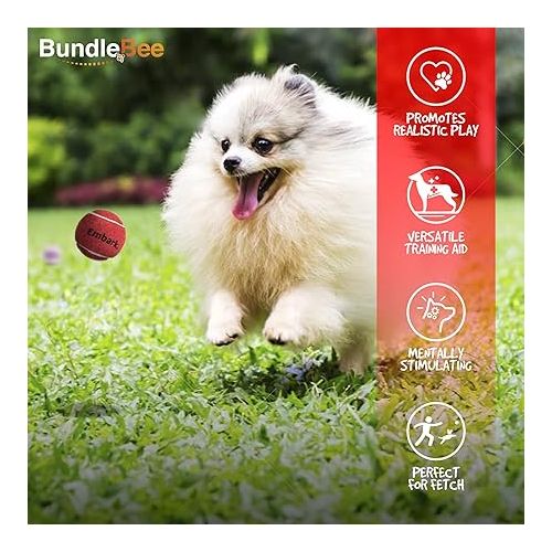  Colorful Squeaky Tennis Balls for Small Dogs and Puppies - 1.5 Inch - 12 Pack - Dog Training Toys for Positive Reinforcement, Interactive Squeaker Ball To Engage Attention Outside, Ball Launcher Fetch