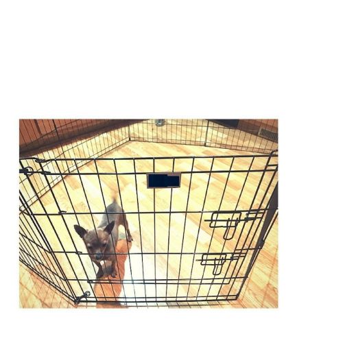  Bunny Rabbit Pen Exercise Indoor 30-Inch with Door House Pet Dog 8 Panel Gate Yard Enclosure X Pen Xpen Fence Playpen & eBook by OISTRIA