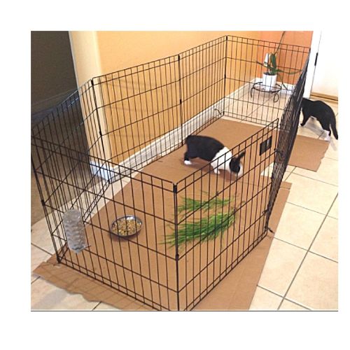  Bunny Rabbit Pen Exercise Indoor 30-Inch with Door House Pet Dog 8 Panel Gate Yard Enclosure X Pen Xpen Fence Playpen & eBook by OISTRIA