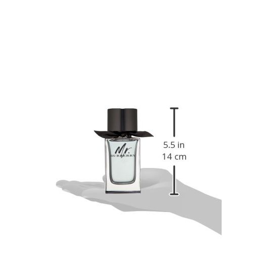 버버리 Burberry Mr Burberry Eau De Toilette