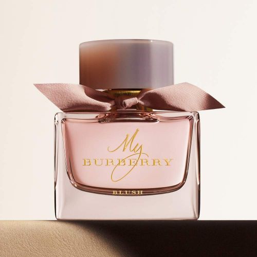 버버리 Burberry Blush Eau de Parfum Spray, 3.0 Fl Oz