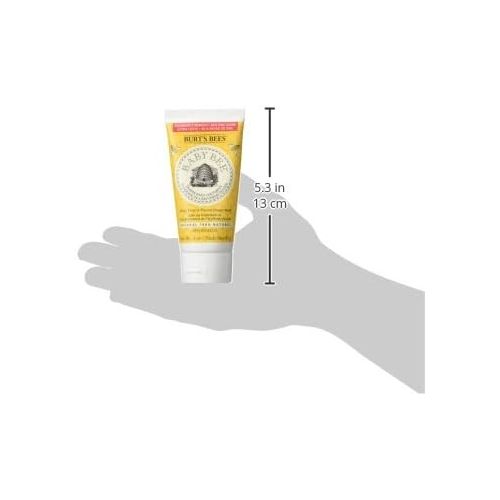  Burts Bees Baby Diaper Rash Ointment 3 Ounce (Pack of 2)