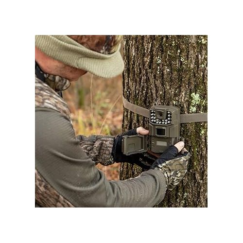 부쉬넬 Bushnell Spot-On 2-Pack Low Glow 18MP Trail Camera Combo, 50 ft Low Glow IR Flash, 60 ft PIR Motion Range, Waterproof & Rugged