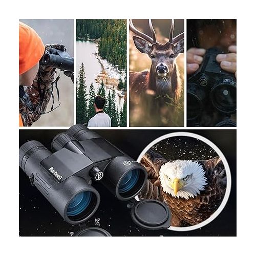 부쉬넬 Bushnell 8x42 Black Roof Prism FMC, WP/FP, Twist-up Eyecups, Box 6L