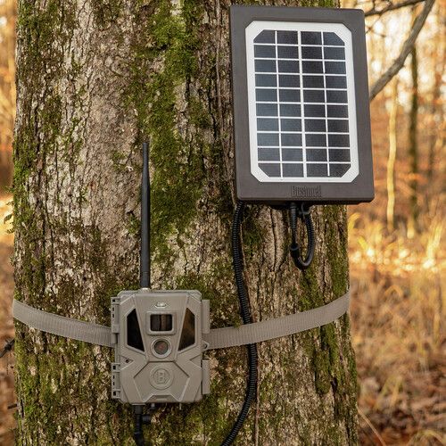 부쉬넬 Bushnell Trail Camera Solar Panel (Tan)