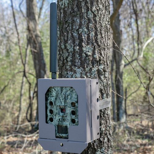 부쉬넬 Bushnell Trail Cam Security Box for CelluCORE,?CORE SD, CORE S-4K, Prime Series