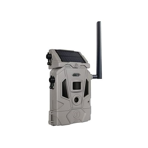 부쉬넬 Bushnell CelluCORE 20 Solar Trail Camera, Low Glow Hunting Game Camera with Detachable Solar Panel with Bundle Options (Strap + SD Card)