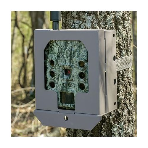 부쉬넬 Bushnell Trail Camera Security Box Non-Cellular Game Cameras, Tan