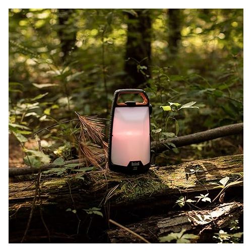 부쉬넬 Bushnell Lantern: 1000L LED Lantern with Flashlight Mode, Red Mode, IPX4 Water Resistant, and 300 Hour Max Runtime - Essential Glamping, Camping Gear, and Emergency Prep Lantern