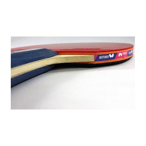 버터플라이 Butterfly B501FL Shakehand Table Tennis Racket | China Series | Racket and Case Set with Balanced Speed and Spin | Recommended for Beginning Level Players, Multi