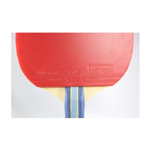 버터플라이 Butterfly B501FL Shakehand Table Tennis Racket | China Series | Racket and Case Set with Balanced Speed and Spin | Recommended for Beginning Level Players, Multi