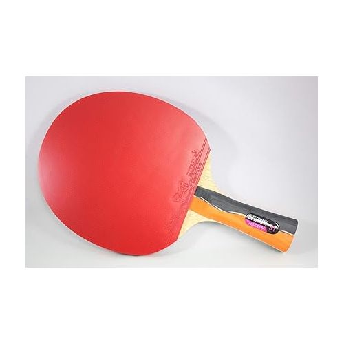 버터플라이 Butterfly Nakama Ping Pong Paddle - Recommended for Beginner & Intermediate Level Players - Includes Two Free 40+ Balls - International Table Tennis Federation Approved