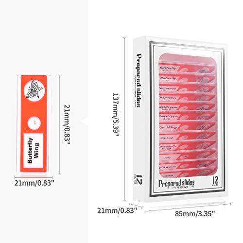  [아마존베스트]Cainda 48 Pcs Plastic Microscope Slides for Kids Animals Insect Plants Flowers Samples with Samples for Students Adults Biology Science Programs