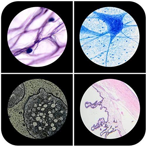  [아마존베스트]Cainda 48 Pcs Plastic Microscope Slides for Kids Animals Insect Plants Flowers Samples with Samples for Students Adults Biology Science Programs