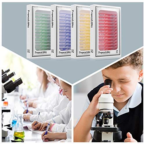  [아마존베스트]Cainda 48 Pcs Plastic Microscope Slides for Kids Animals Insect Plants Flowers Samples with Samples for Students Adults Biology Science Programs