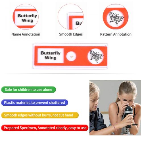  [아마존베스트]Cainda 48 Pcs Plastic Microscope Slides for Kids Animals Insect Plants Flowers Samples with Samples for Students Adults Biology Science Programs