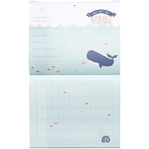  [아마존베스트]C.R. Gibson Blue Nautical Our Babys First Year Baby Calendar for Newborn Boy Memory Book with Stickers, 11 L x 18 H