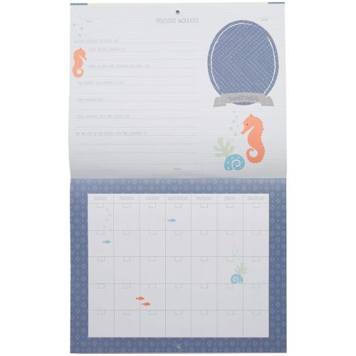  [아마존베스트]C.R. Gibson Blue Nautical Our Babys First Year Baby Calendar for Newborn Boy Memory Book with Stickers, 11 L x 18 H