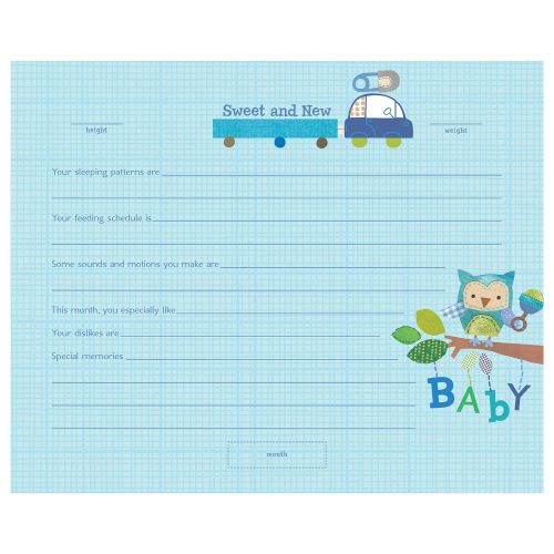  [아마존베스트]C.R. Gibson Blue Airplane First Year Baby Calendar for Boys, 11 W x 18 H