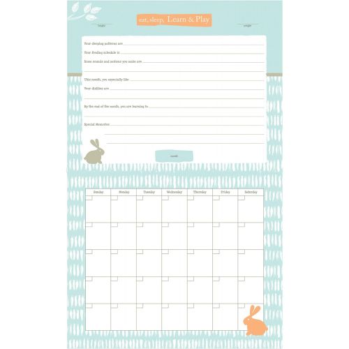  [아마존베스트]C.R. Gibson Elephant Blue Baby Calendar Milestone Stickers, 11 W x 18 H