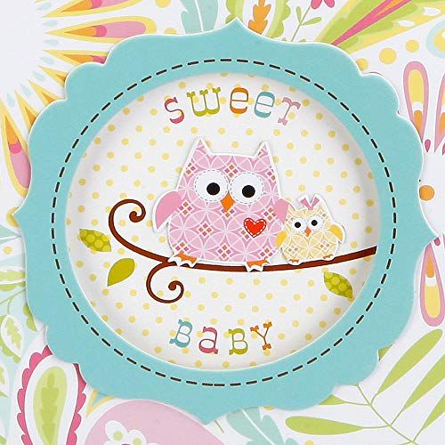  [아마존베스트]C.R. Gibson Sweet Baby Pink Owl First Five Years Girl Memory Baby Book, 64pgs, 10 W x 11.75 H