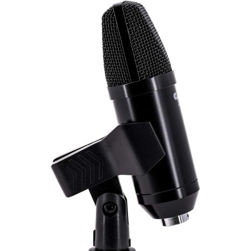  [아마존베스트]CAD Audio U29 USB Large Diaphragm Condenser Microphone (Cardioid Characteristics: 20Hz-20KHz, Built-in A/D Converter for MAC or PC, Includes USB Cable, Windbreaker, Clamp and Table