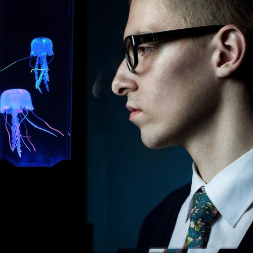  CALOVER Gifts for Kids Men Women Dad Mom Electric Jellyfish Night Light Home Office Room Desk Decor Lamp for Christmas Thanks Giving Holiday Birthday