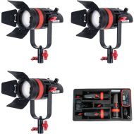 CAME-TV Q-55W Boltzen 55W Mark II Daylight Fresnel 3-Light Travel Kit